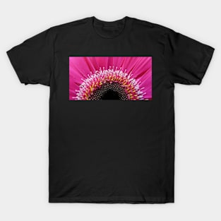 A Study of the Gerbera T-Shirt